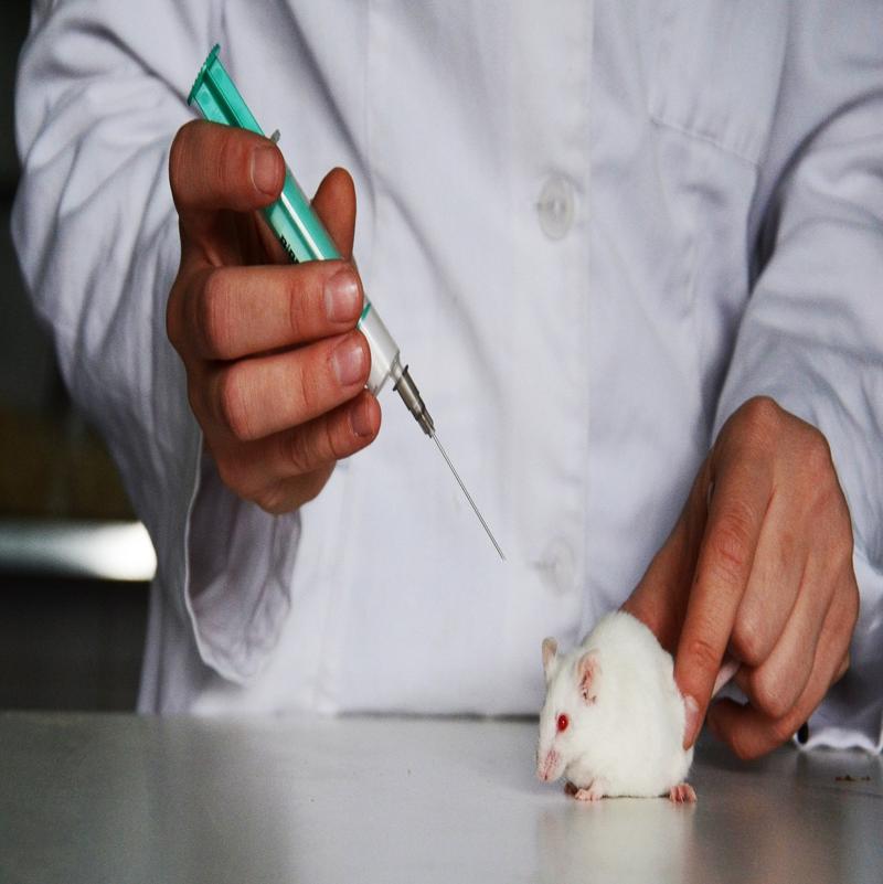 Eficácia de tratamentos ao longo do tempo com modelos mistos